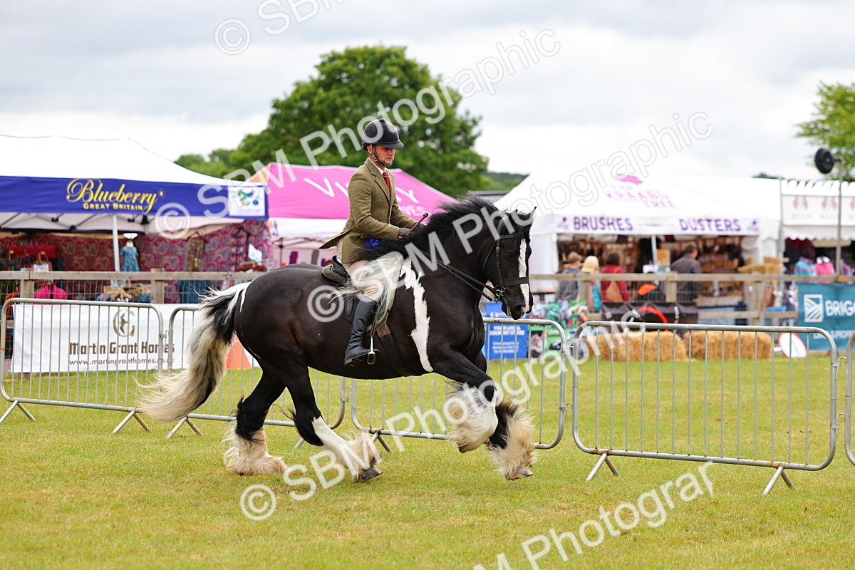 SBM_02611 - Class 9-11 Side Saddle including LIHS Rising Star Ladies Show Horse