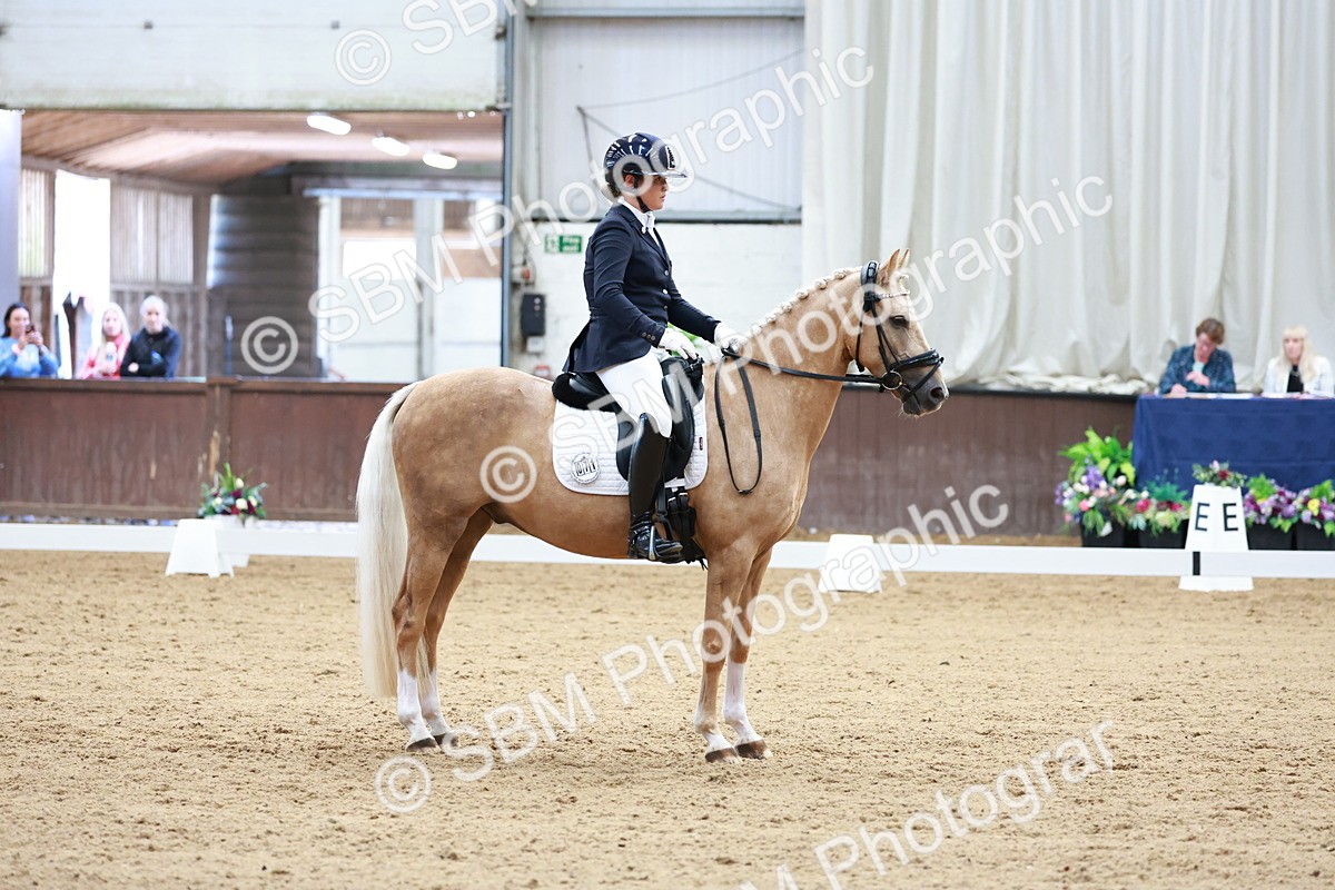 SBM_017298 - Class15 - FEI Pony