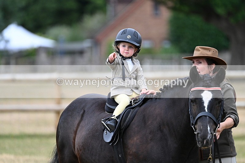 WJ7_9738 - Class 1 Lead Rein Pony