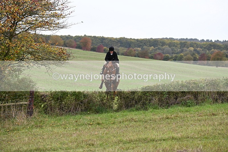 WJ6_1012 - Camera 2 Line 2