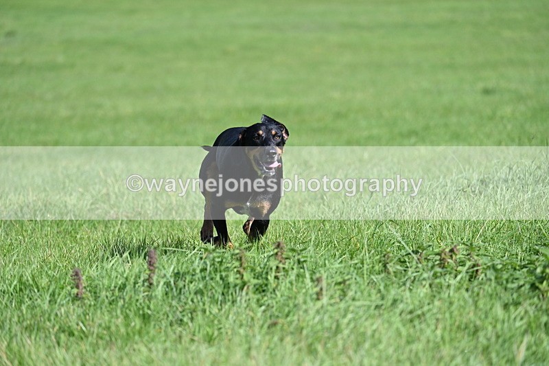 WJ7_6121 - Line Two
