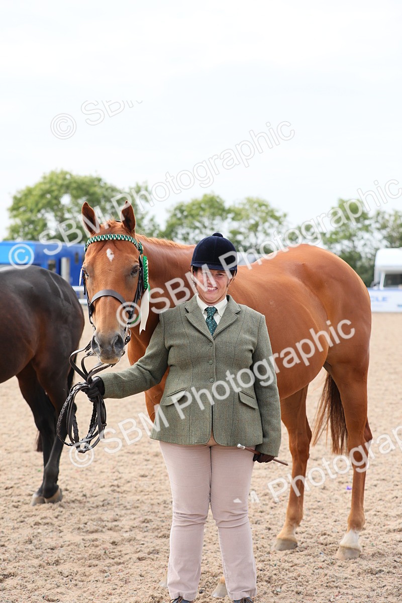 SBM_15978 - Class 313 IH Retired Racehorse
