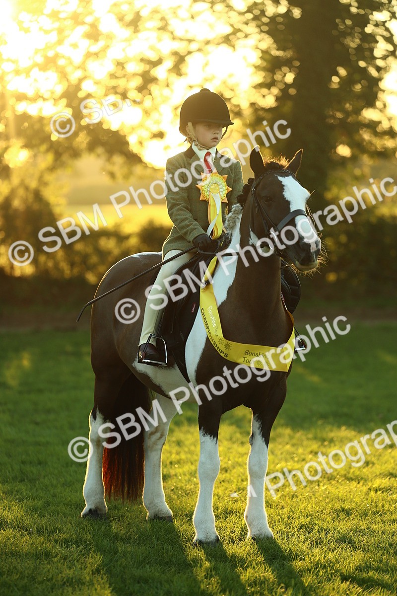 SBM_56626 - Fun & Versatile Supreme Championship