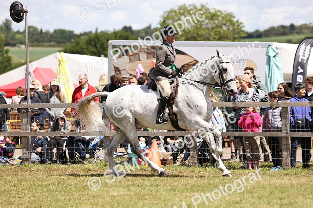 SBM_14767 - Class 88-89 - LIHS BSHA Rising Star of Ridden Hunter Type