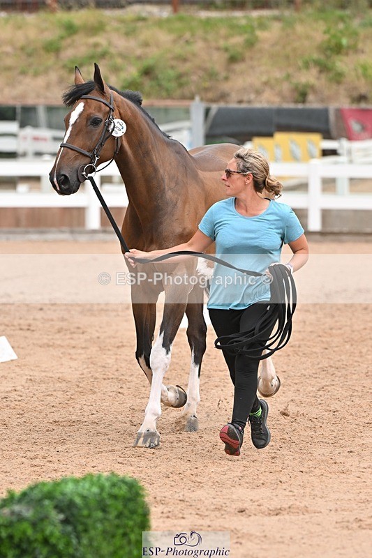 250716-144118-01306 - Trot Up 2.30 to 3.30