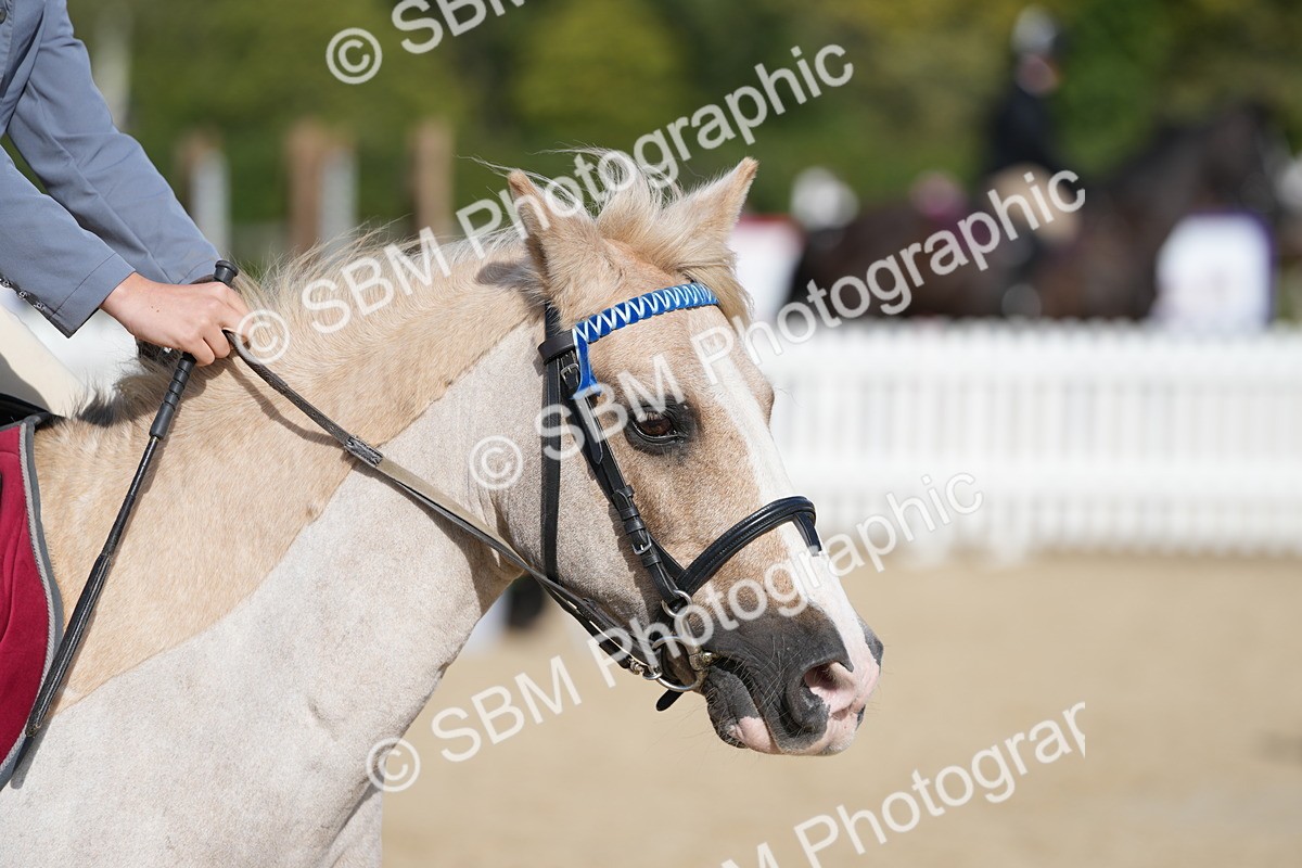 SBM_24889 - J50 - Open 60cm