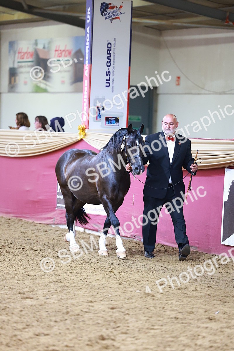 SBM_18556