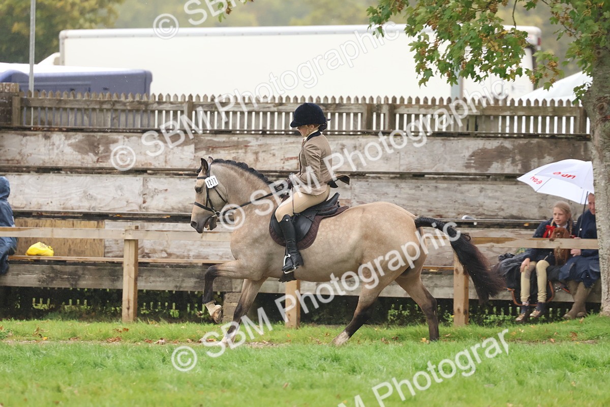 SBM_73063 - S63 Show Pony & Show Hunter Pony Ridden