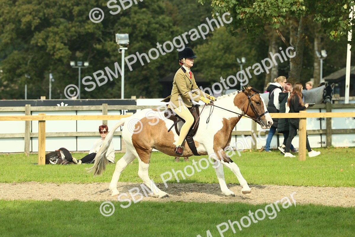 SBM_67663 - S56 - Coloured Pony Ridden