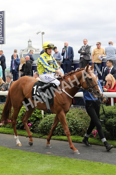 yr17082022r6-4 - Race 6 4.45 pm Celebrate ITM’s 200th IRE Voucher Winner Stakes