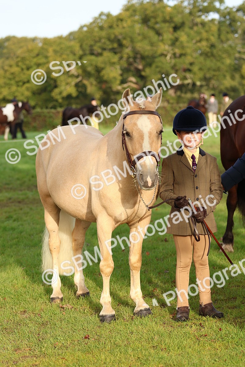 SBM_54844 - S39 - Starters In Hand Showing