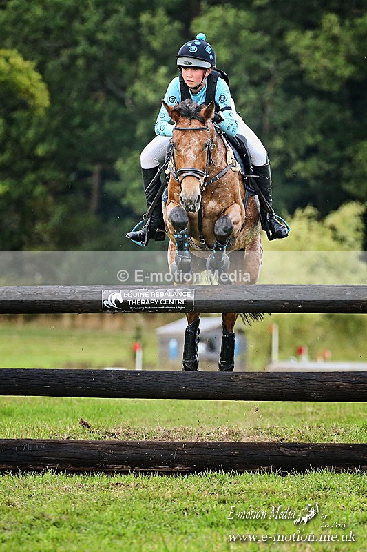 HT 310820 -1763a - Equestrian