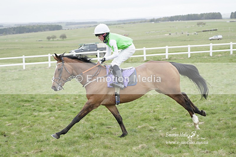 PtP 260323 1140 - New Forest Hounds Point-to-Point Larkhill 26/03/23