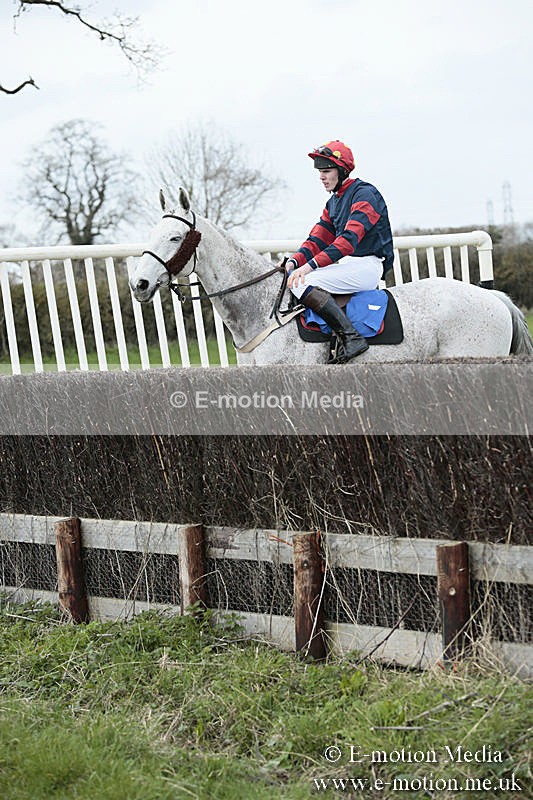 PtP 230319 59 - VWH Hunt Siddington Point-to-Point Racing 23/03/19