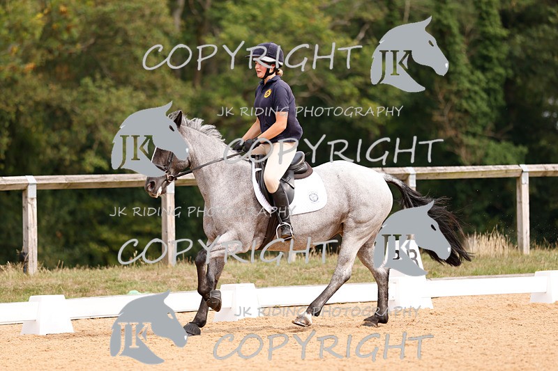 _R6A2872 - Dressage Morning