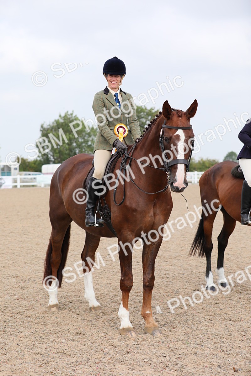 SBM_11486 - Class 305 Ridden Foreign Breeds- Pure Bred