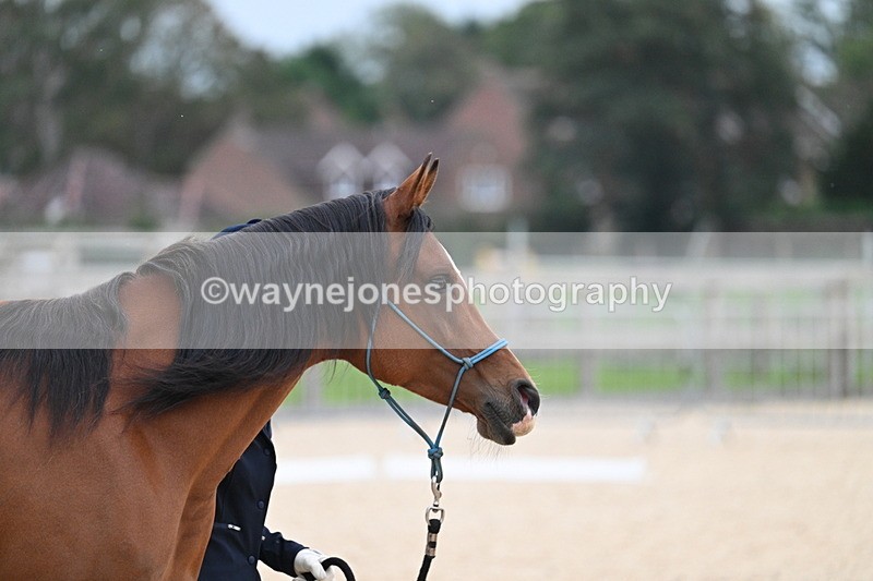 WJ7_1924 - Class 1 & Champs