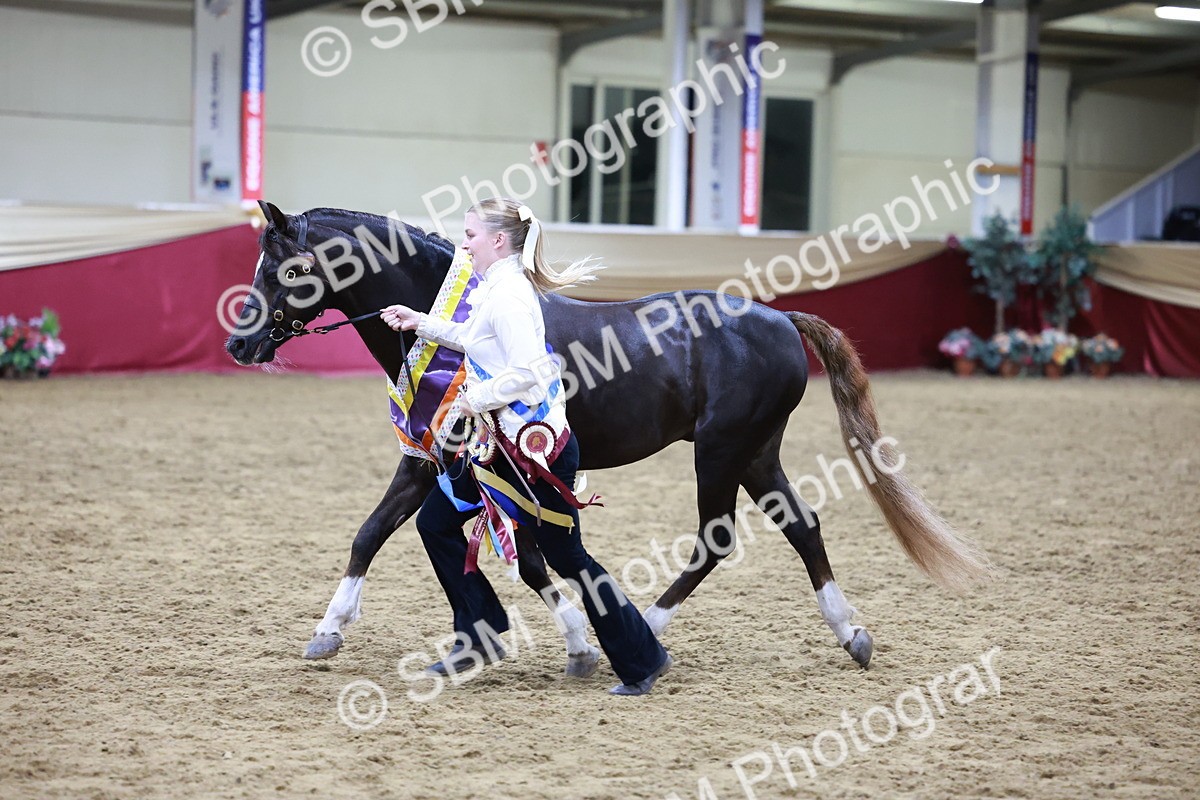 SBM_21099 - Class P - M&M Champs