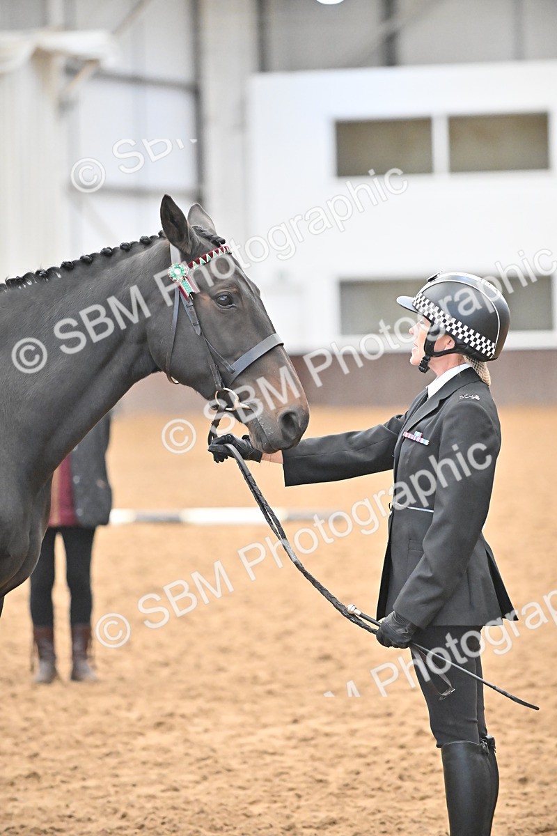 SBM_000087 - Class 4 - BSHA In Hand Show Cob