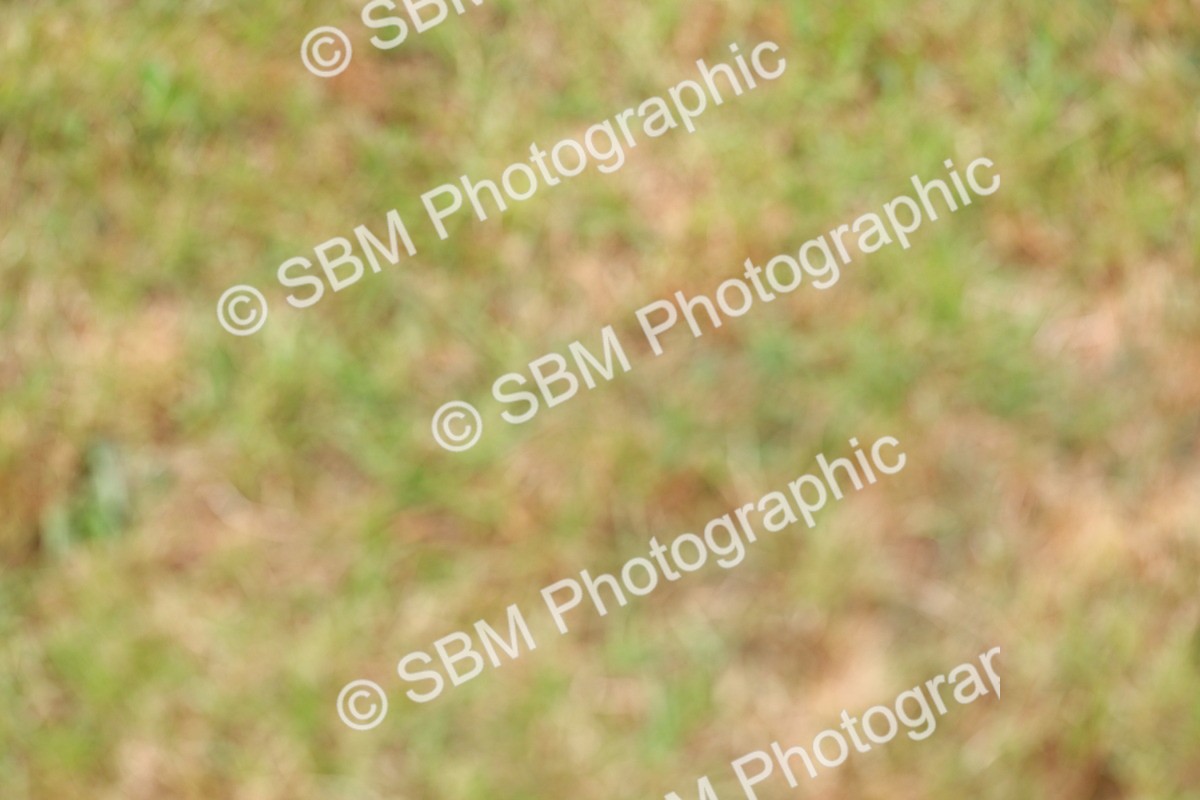 SBM_02989 - Class 9-11 Side Saddle including LIHS Rising Star Ladies Show Horse