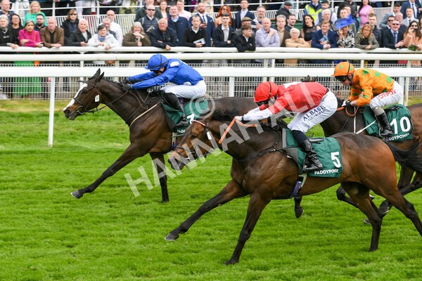 yr13052022r3-32 - Race 3 3.00pm Paddy Power 'I Love Steak' Stakes