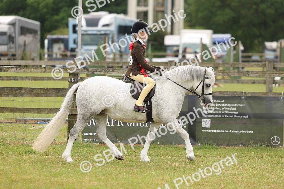 SBM_06962 - Class 74-75 - M&M Lead Rein and First Ridden Pony