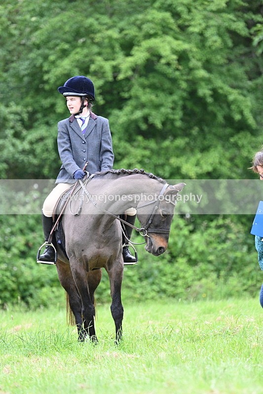 WJ7_4415 - Class 14B Prettiest Mare