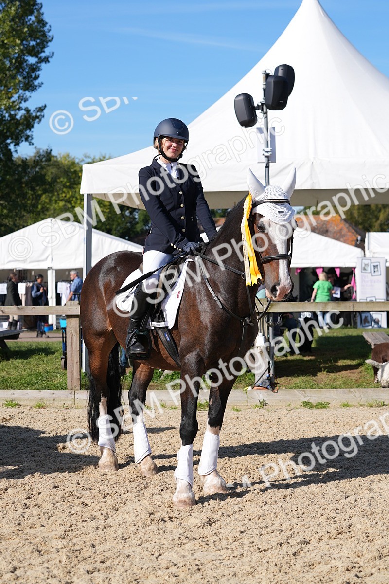 SBM_36250 - J 20 - Junior Horse 50cm Championship