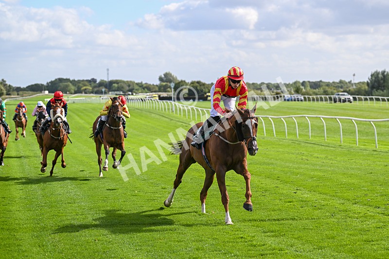 100924-Race 1-The Dancing Poet-9888 - Race 1