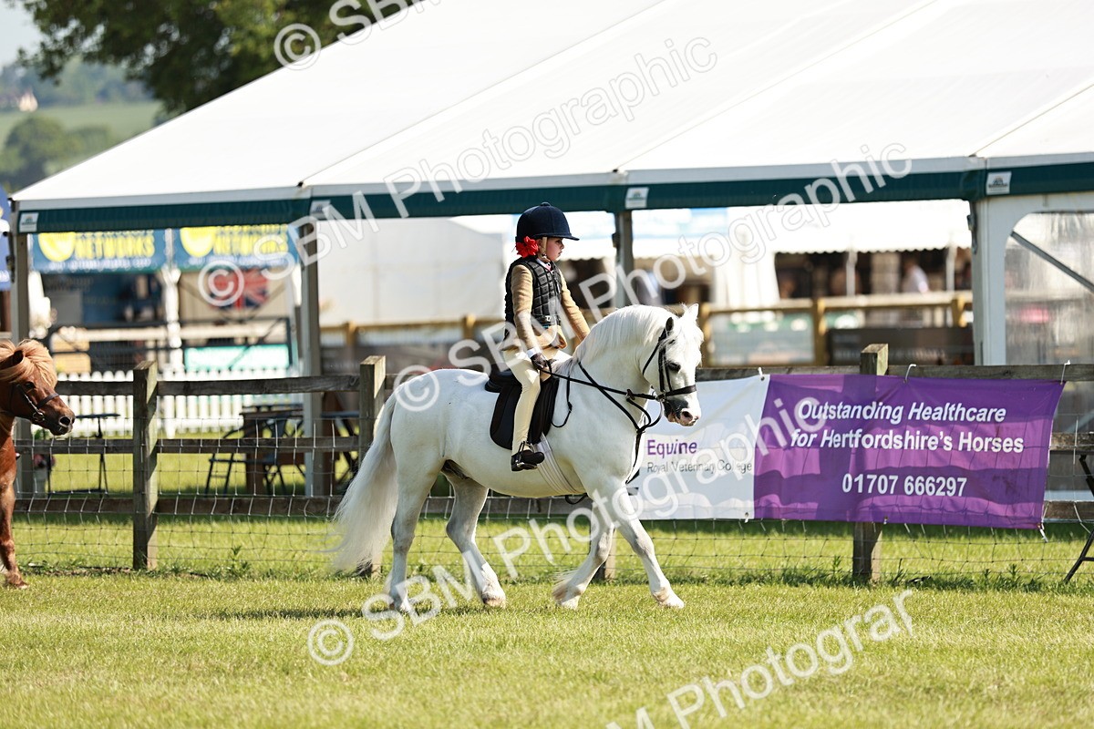 SBM_12563 - Class 106-107 - BSPS LIHS Working Sports Pony
