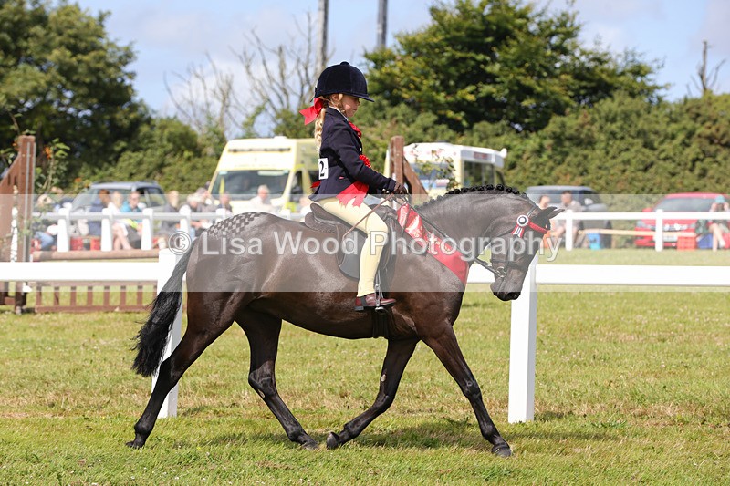 1X9A3860 - Plaited Mini Ridden Championship
