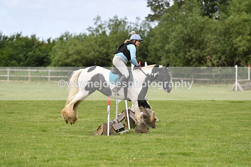 WJ5_2447 - Class 2 40cm