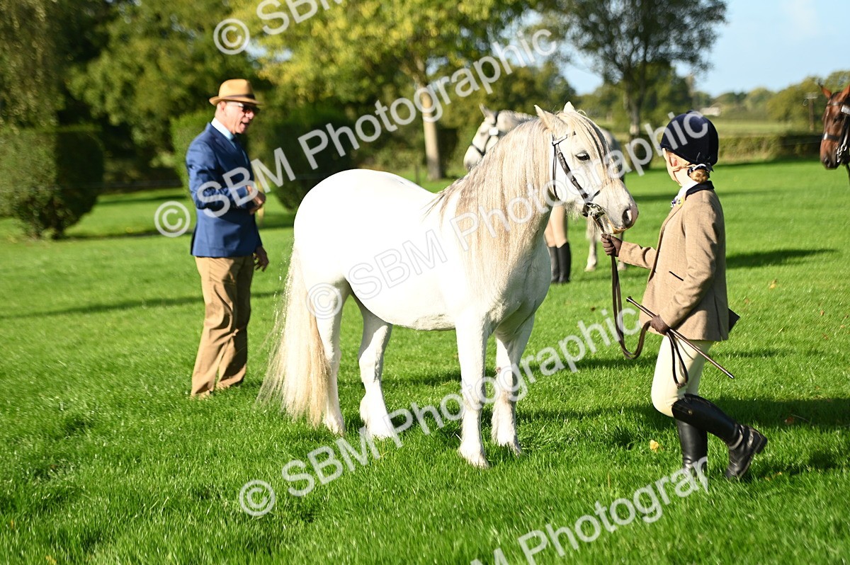 SBM_14771 - S1 - TSR in Hand Horse & Pony Showing