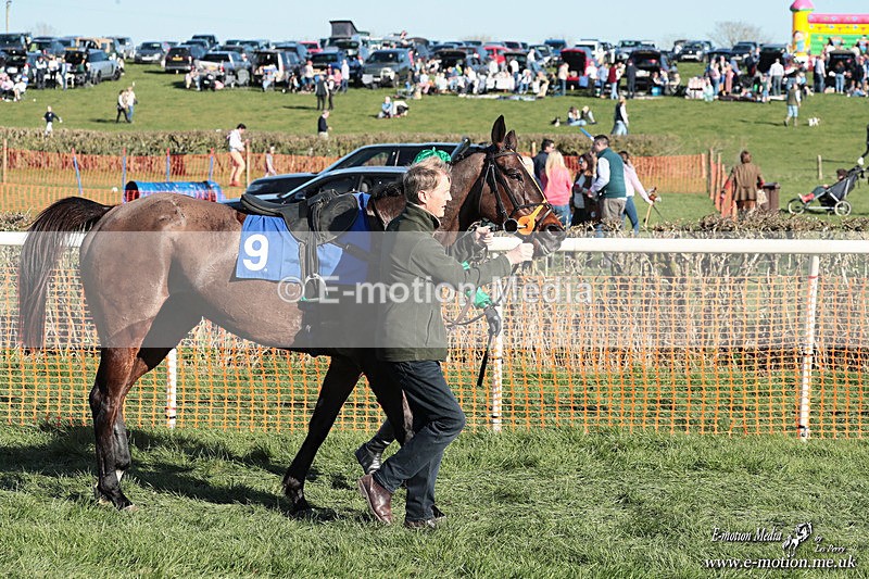 PtP 210326 893 - VWH Cirencester Races 21/03/26