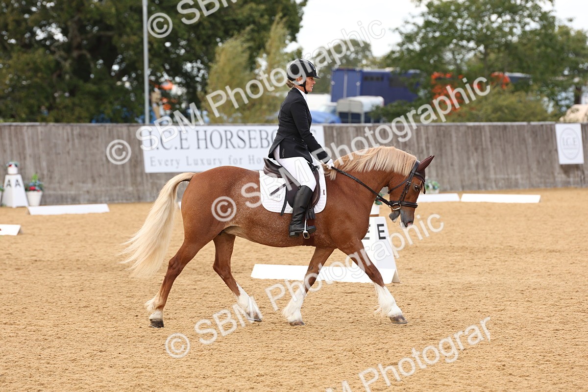 SBM_19512 - D10 - Small Tour Championship Prelim 2