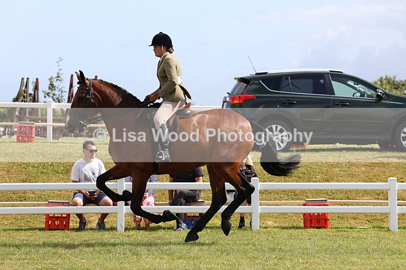 3E7A9368 - Class 4: Rising Star M/H Hunter