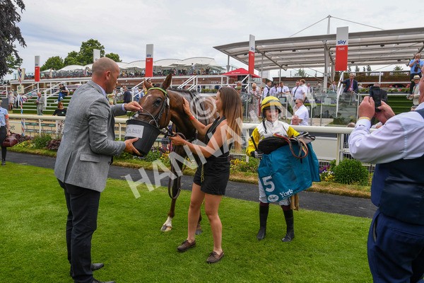 170623-Race 1-Kihavah-0072 - Race 1 2.00pm Queen Mother's Cup Handicap