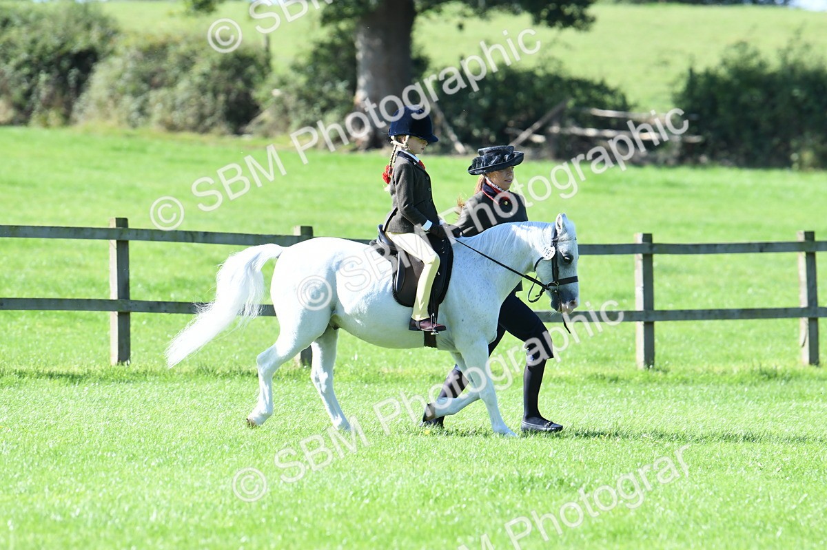 SBM_39507 - S18 - Novice & Newcomers Lead Rein Pony