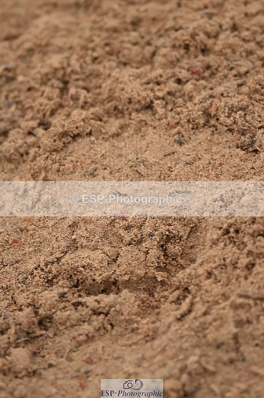 231118A-145136-03701 - Cls 27 Springboard 128cm & 138cm