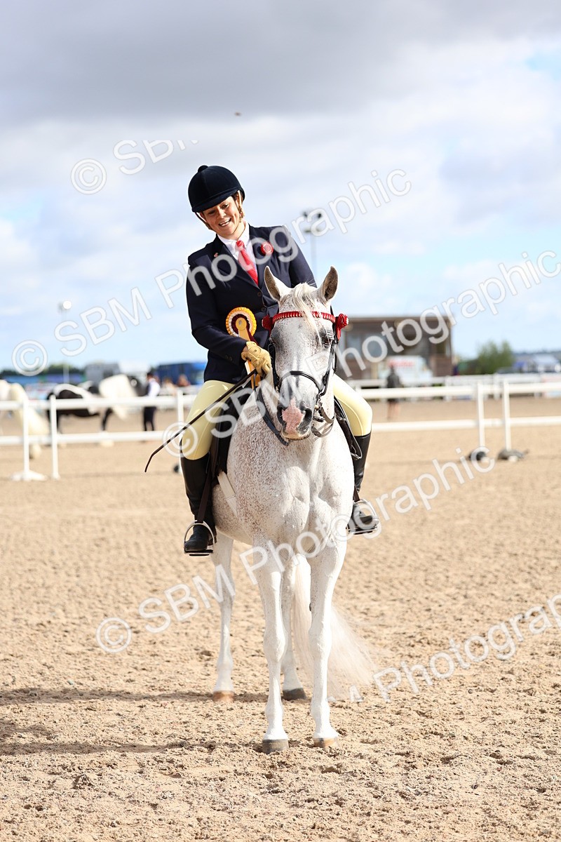 SBM_09180 - Class 303 - Ridden Pure Bred Horse Pony