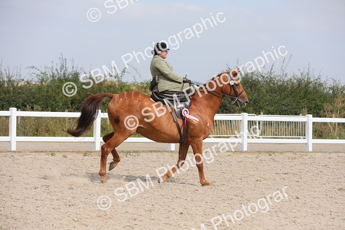 SBM_14665 - Class 211 Best Side Saddle Horse/Pony