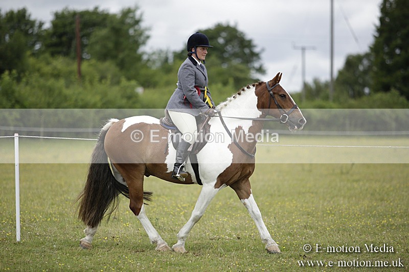 BVR160717-2093 - Ridden Championship 16/07/17