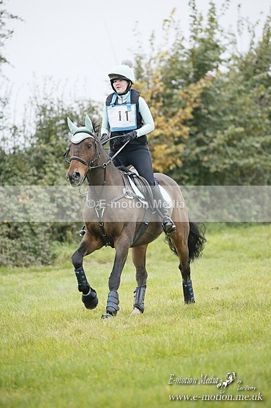 WWHT 181020 WWHT 181020 1180 - WWEC Intermediate (0.90m)  18/10/20