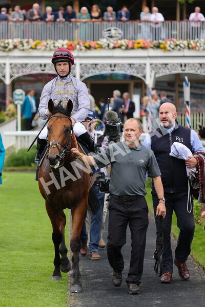 yr20082021r3-33 - Race 3 3.00pm Al Basti Equiworld Dubai Gimcrack Stakes