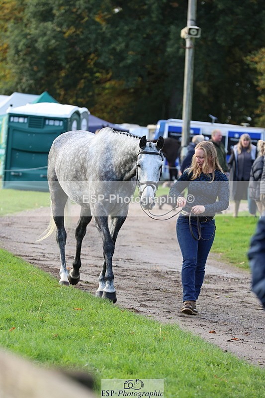 251026A-100014-22657 - D-360-Hannah.Norvill