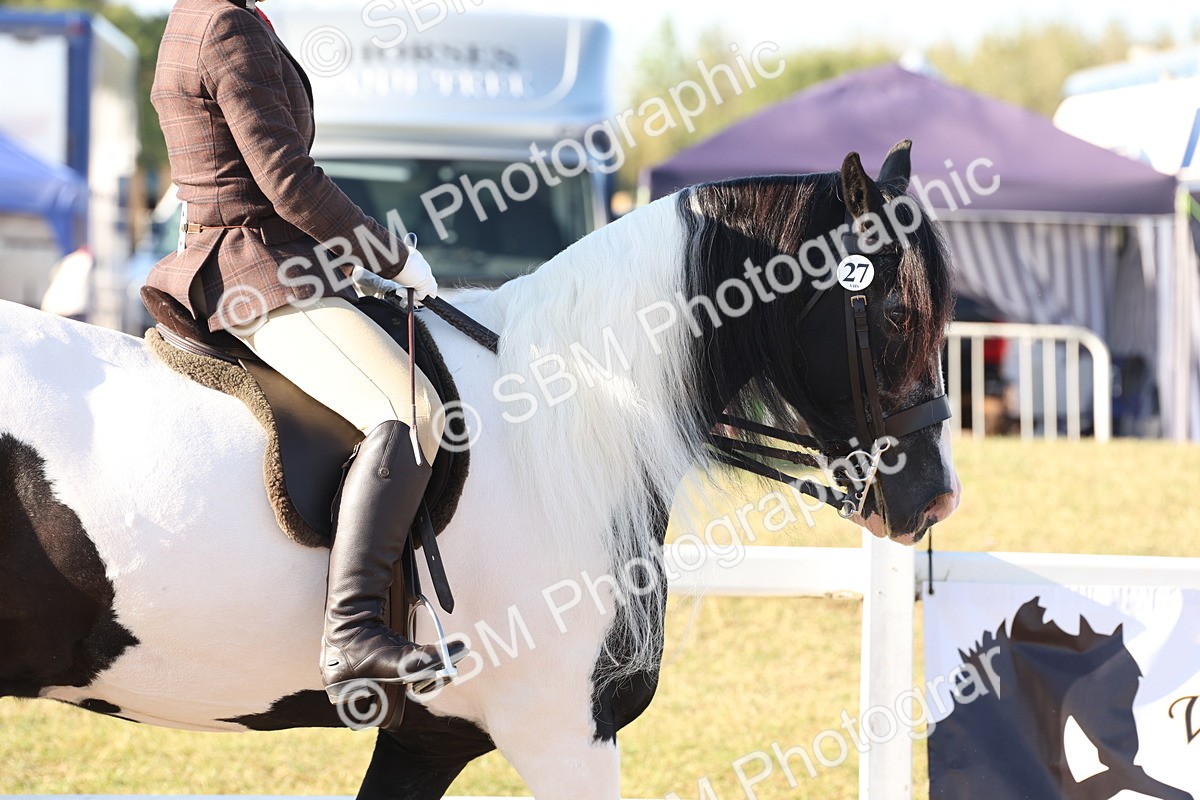 SBM_10822 - Class 202 - Best Turned Out - Ridden