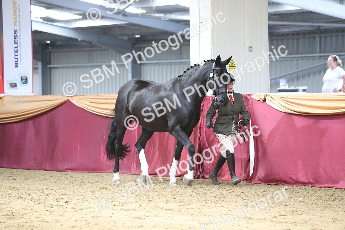 SBM_06490 - Class 9R Regional- IH Pre Vet