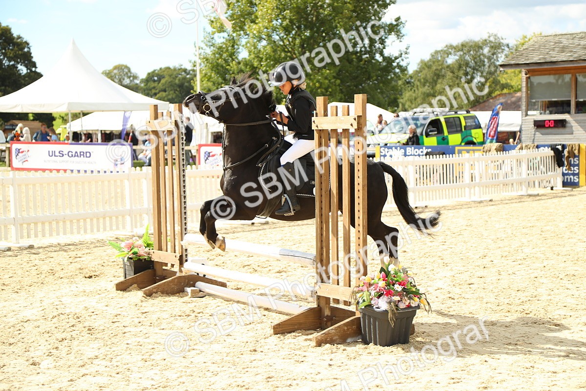 SBM_41315 - J6 - Junior Pony 55cm Championships