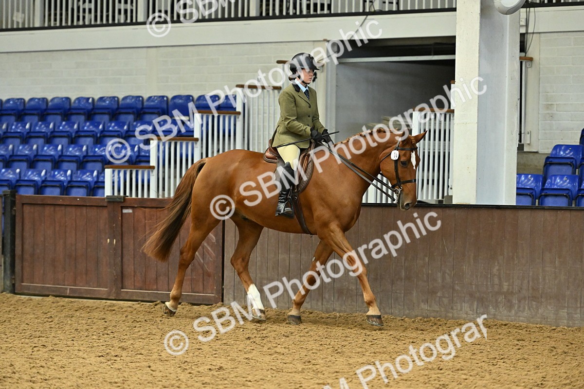 SBM_002048 - Class 23 - BSHA Ridden Show Hunter