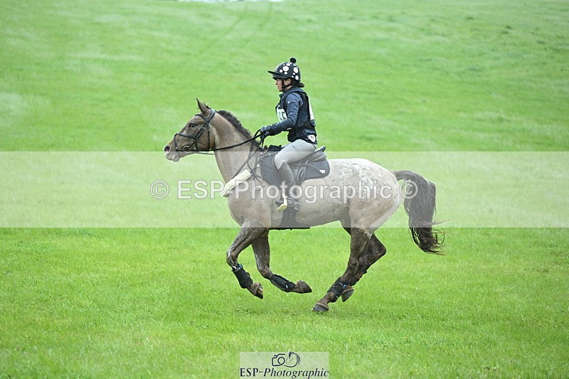 250418-122423-02731 - 055-Holly.Day-MUSTANG